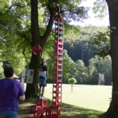  Sproing Pics (51/145)